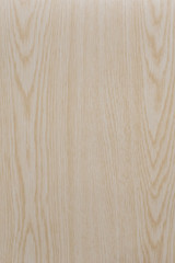 Wood background texture. Texture of wood background closeup.