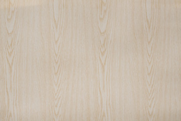 Wood background texture. Texture of wood background closeup.