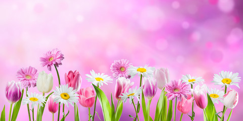 Spring background with fragrant flowers