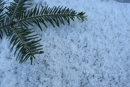 Winter, Weeihnachten, Schnee, Tanne © Johannes