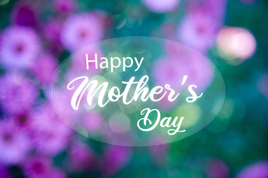 Happy mother’s day: Graphic design pink purple floral background and handwritten text