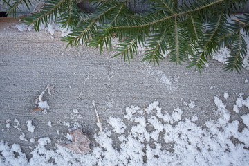 Brett, Tannenzweig, Frost, Krsitalle
