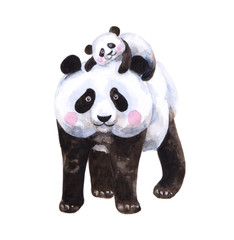 Watercolor painting panda with the baby on her back