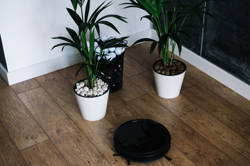 Robotic vacuum cleaner on laminate wooden floor, autonomous cleaning wireless technology. Smart home with intelligent contemporary machine