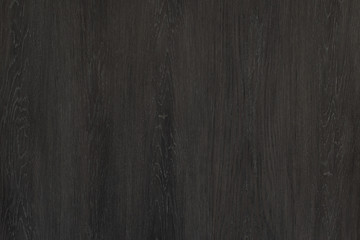 Wood background texture. Texture of wood background closeup.