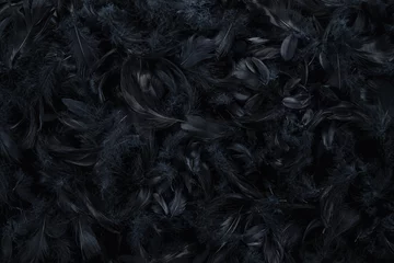 Rolgordijnen Abstracte zwarte veerachtergrond, textuur met exemplaarruimte © rangizzz