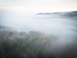 Obraz na płótnie Canvas Nebel über dem Taunus