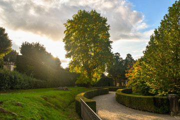 Backlight view of the Boboli Gardens of Palazzo Pitti with a serpentine graveled path between low boxwood hedges in autumn, Florence, Tuscany, Italy