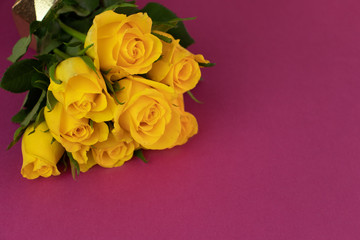 yellow roses on a pink background