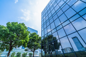 Plakat trees and blue sky reflected on the glass wall