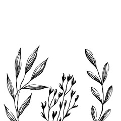 flower plant botanical sketch leaf social media instagram modern  art pencil