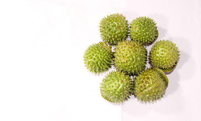 A green natural multi thorn with different view