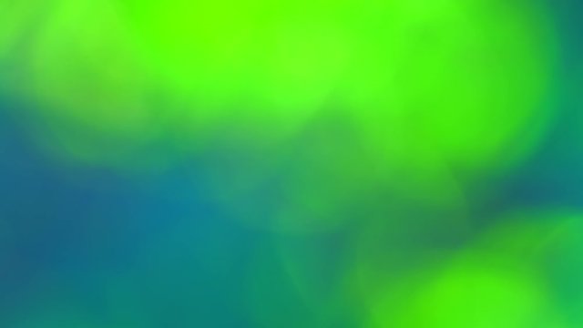 Seamless Bokeh Background Loop of Nature