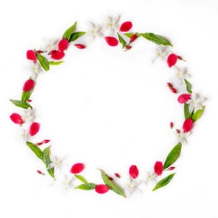 frame with wreath of white pink  red flowers and green leaves