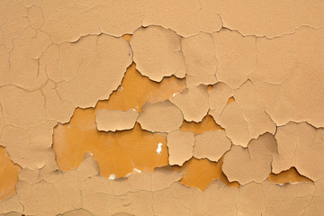 The mottled paint was on the wall.