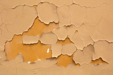 The mottled paint was on the wall.