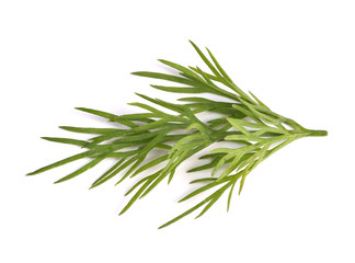 Fototapeta premium small sprigs of fresh dill. (macro focus stacking)