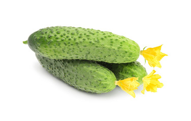 Cucumber isolated on white background