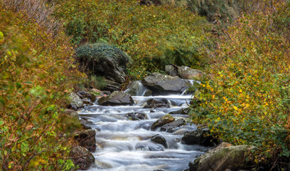 Small stream running through a glen in Autumn, Isle of Man, British Isles