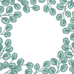 Fototapeta na wymiar Round frame of green eucalyptus branches isolated on white background. Hand drawn botanical illustration with green contour lines. Stock vector illustration. 