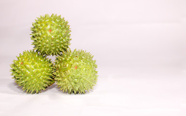A green natural multi thorn with different view