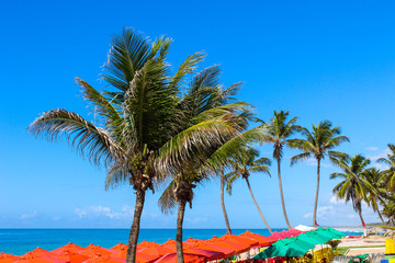 Praia tropical, Praia do Franc&ecirc;s, Estado de Alagoas, Brasil