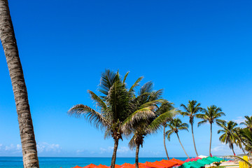 Praia tropical, Praia do Franc&ecirc;s, Estado de Alagoas, Brasil