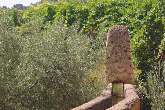 El Rambl&oacute;n de Li&eacute;tor, Albacete, Espa&ntilde;a