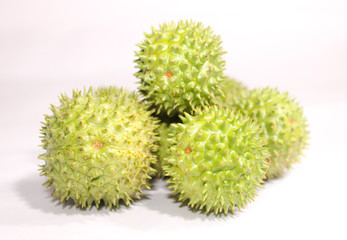 A green natural multi thorn with different view
