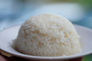 Jasmine rice serve on a plate