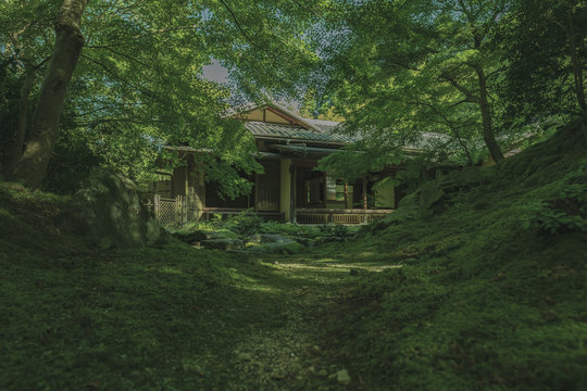 京都　お寺　寺　紅葉　光明寺　寺社仏閣　写真素材　リフレクション　写経　お茶室