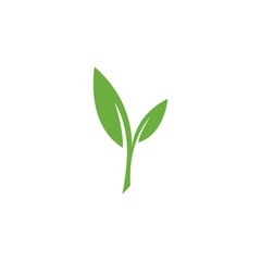 Obraz premium Eco Tree Leaf Logo Template