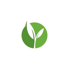 Eco Tree Leaf Logo Template