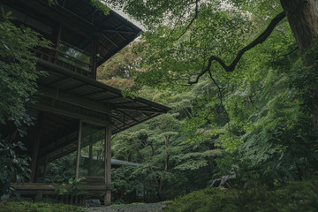 京都　お寺　寺　紅葉　光明寺　寺社仏閣　写真素材　リフレクション　写経　お茶室