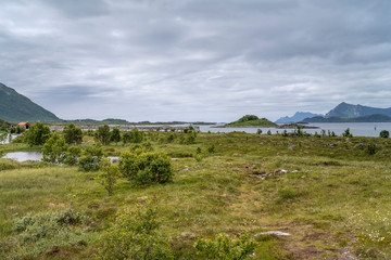 green fjord shore, near Kleppstad,  Lofoten, Norway