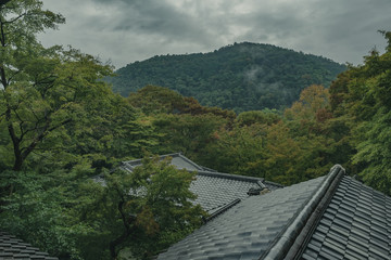 京都　お寺　寺　紅葉　光明寺　寺社仏閣　写真素材　リフレクション　写経　お茶室