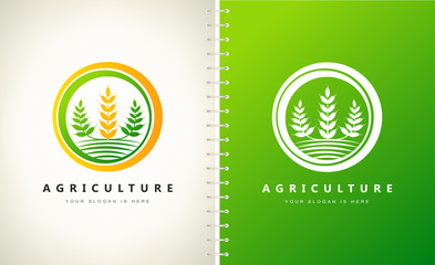 Wheat logo vector. Agriculture design.