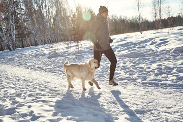 Labrador retriever dog for a walk with its owner man in the winter outdoors doing jogging sport.