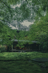 京都　お寺　寺　紅葉　光明寺　寺社仏閣　写真素材　リフレクション　写経　お茶室