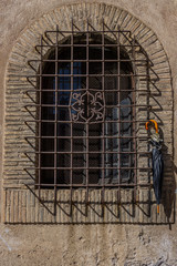 Old window in Rome with umbrella