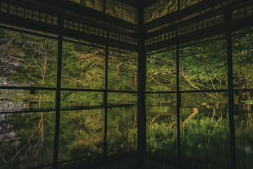 京都　お寺　寺　紅葉　光明寺　寺社仏閣　写真素材　リフレクション　写経　お茶室