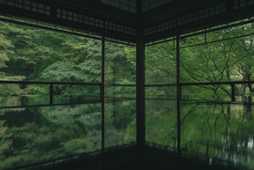 京都　お寺　寺　紅葉　光明寺　寺社仏閣　写真素材　リフレクション　写経　お茶室