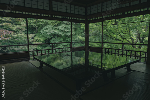 京都 お寺 寺 紅葉 光明寺 寺社仏閣 写真素材 リフレクション 写経 お茶室 Wall Mural Sanato 京都 お寺 寺 紅葉 光明寺 寺社仏閣 写真素材 リフレクション 写経 お茶室 Wall Mural Sanato