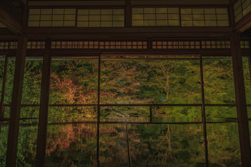 京都　お寺　寺　紅葉　光明寺　寺社仏閣　写真素材　