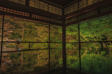 Fototapeta premium 京都 お寺 寺 紅葉 光明寺 寺社仏閣 写真素材 