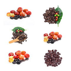 Red and black coffee beans on white background