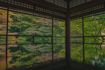 Fototapeta premium 京都 お寺 寺 紅葉 光明寺 寺社仏閣 写真素材 