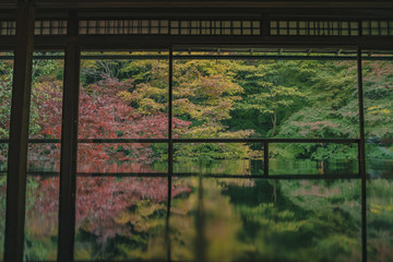 京都　お寺　寺　紅葉　光明寺　寺社仏閣　写真素材　
