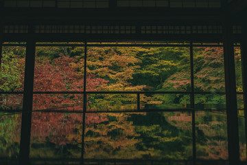 Naklejka premium 京都 お寺 寺 紅葉 光明寺 寺社仏閣 写真素材 