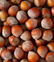 close up of hazelnuts,food background